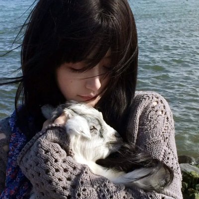 一级方程式：疾速争胜 第三季